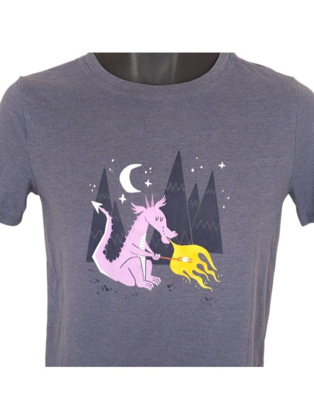 Dragon Roasting Marshmallow T Shirt Womens Size Small Gray Cat & Jack